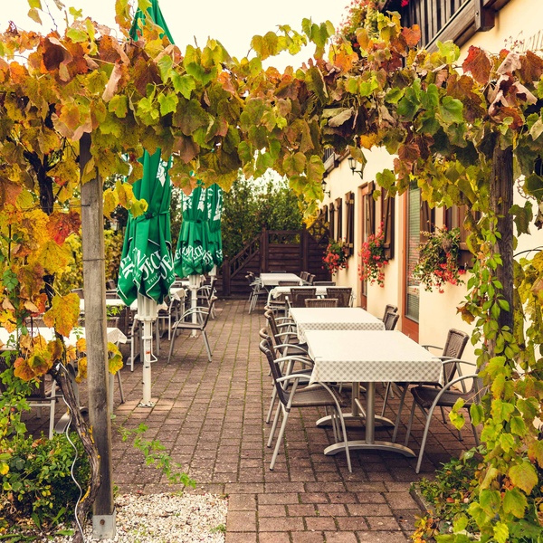 Unsere Terrasse mit Biergarten
